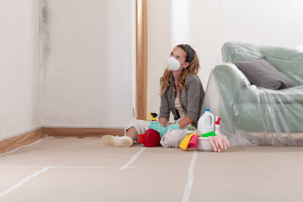 Reliable Mold Removal contractor in Woburn, MA by Car Mold Remediation